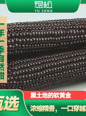 新鲜东北黑玉米真空包装0添加富含花青素香甜软糯粗粮健康8棒