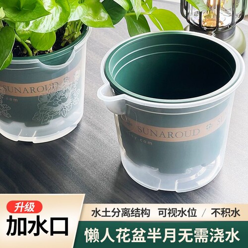 绿萝自动吸水盆|超1.3万次加购