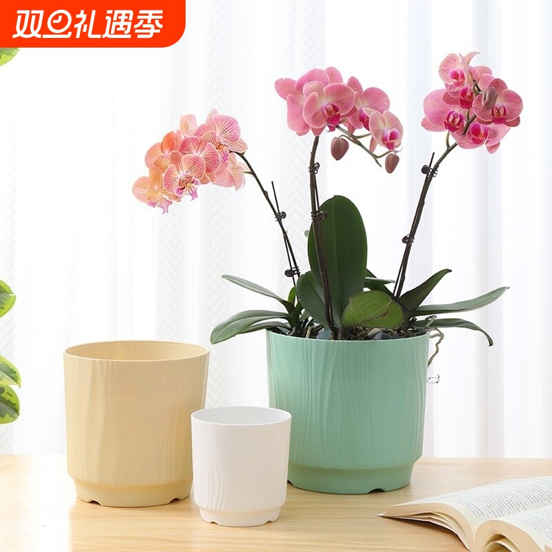北欧简约花盆蝴蝶兰专用ins风树脂家用塑料虎皮兰花盆带托绿植盆