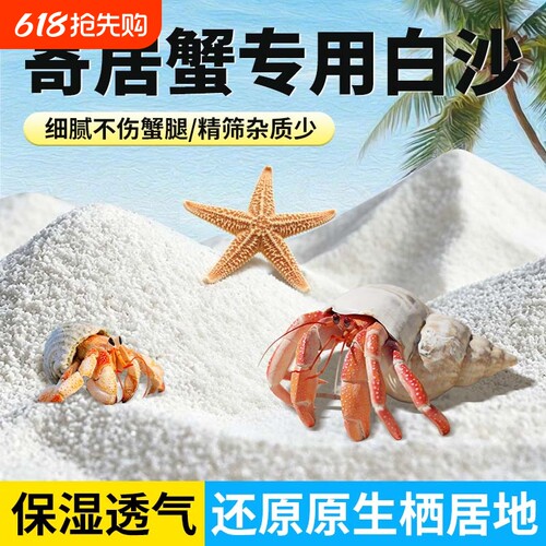 寄居蟹专用沙天然垫材珊瑚沙菲律宾沙造景贝壳砂相守螃蟹沙蟹细沙
