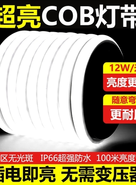 超亮led灯带220v自粘线形灯家用客厅吊顶户外防水工程COB软灯条