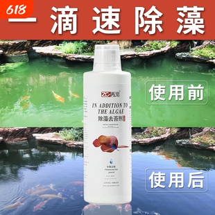 鱼缸除藻剂去水藻硝化细菌鱼池净水除绿藻除绿水亚甲基蓝水质褐藻