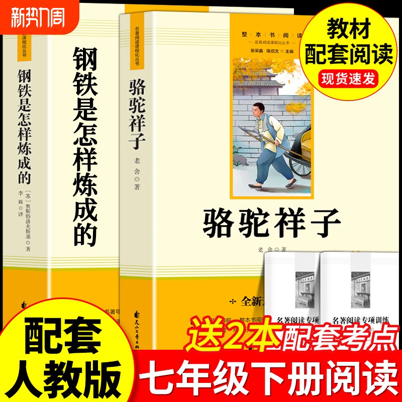 钢铁是怎样炼成的骆驼祥子正版七年级上下册课外书籍和海底两万里名著