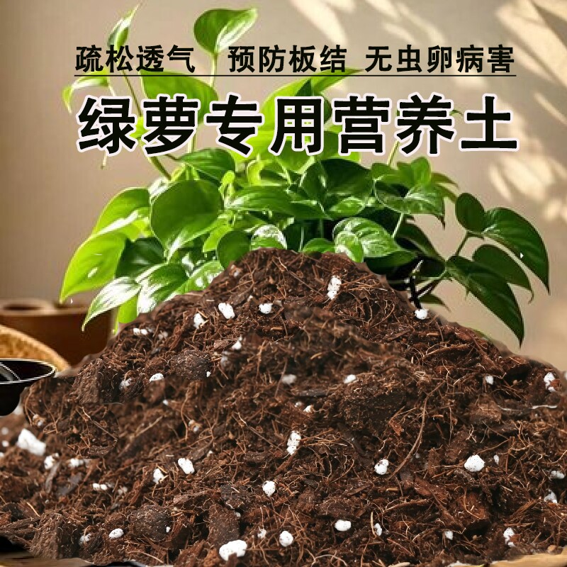绿萝专用营养土绿萝土通用型养花多肉绿植盆栽土壤植物花盆疏松图片