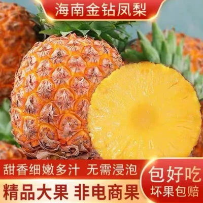 【新鲜直达】海南正宗金钻凤梨手撕凤梨菠萝应季新鲜水果大果多汁