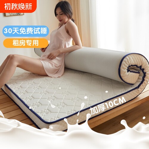 四季款床垫家用软垫褥铺地