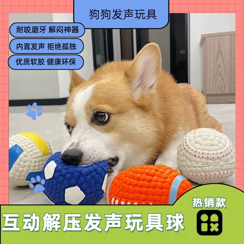 狗狗玩具耐咬磨牙发声球解闷神器小狗柯基幼犬金毛大型犬宠物用品
