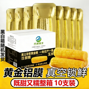开源保丰黄糯玉米250-280g*8支金箔装