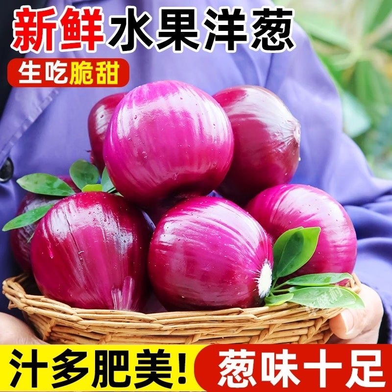 【新品】新鲜现挖紫皮水果洋葱生吃脆甜农家自种红葱头当季蔬菜