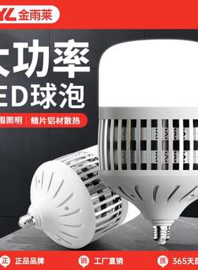 金雨莱大功率灯泡螺口led灯节能家用E27超亮强光照明特亮室内灯芯