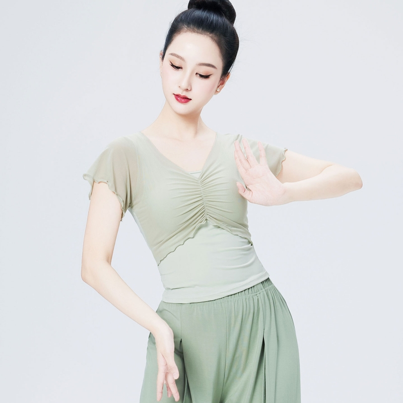 现代短袖舞蹈练功服新款小飞袖上衣女跳舞中国舞飘逸网纱拼接洋气