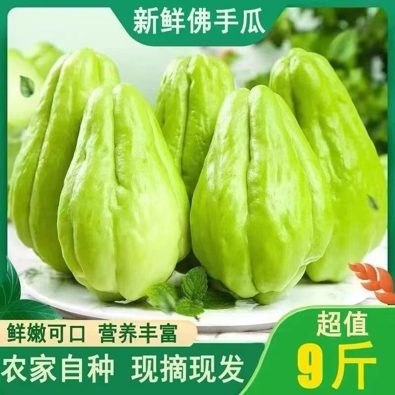 【农家自种】攀枝花佛手瓜9斤新鲜正宗洋丝瓜当季农家鲜蔬菜现摘