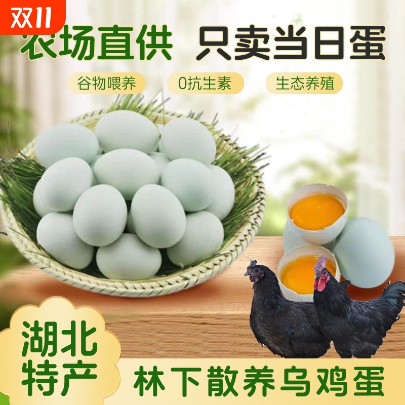 绿壳鸡蛋农家散养月子谷物乌鸡蛋