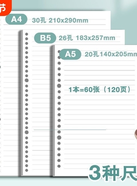 活页本替换芯 20孔26孔30孔 B5通用活页纸替芯A4活页笔记本可拆卸