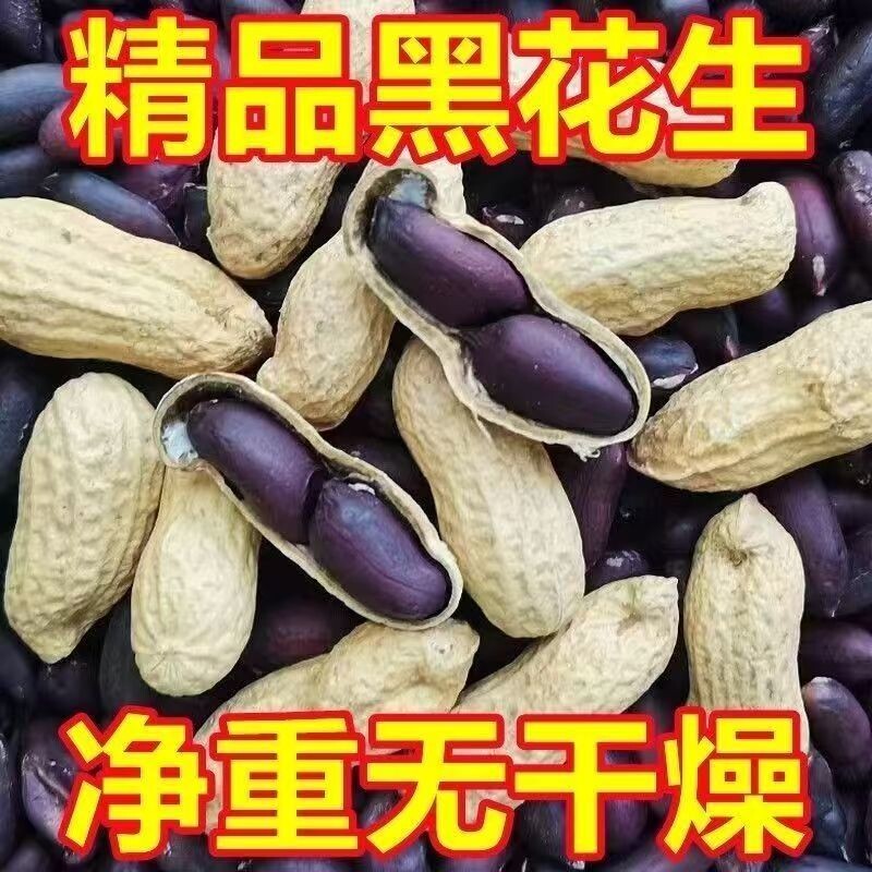 带壳黑花生农家自种黑皮花生紫皮花生米山东生选富硒新鲜晒干新货