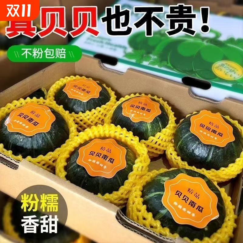 正宗精品贝贝小南瓜5斤礼盒装