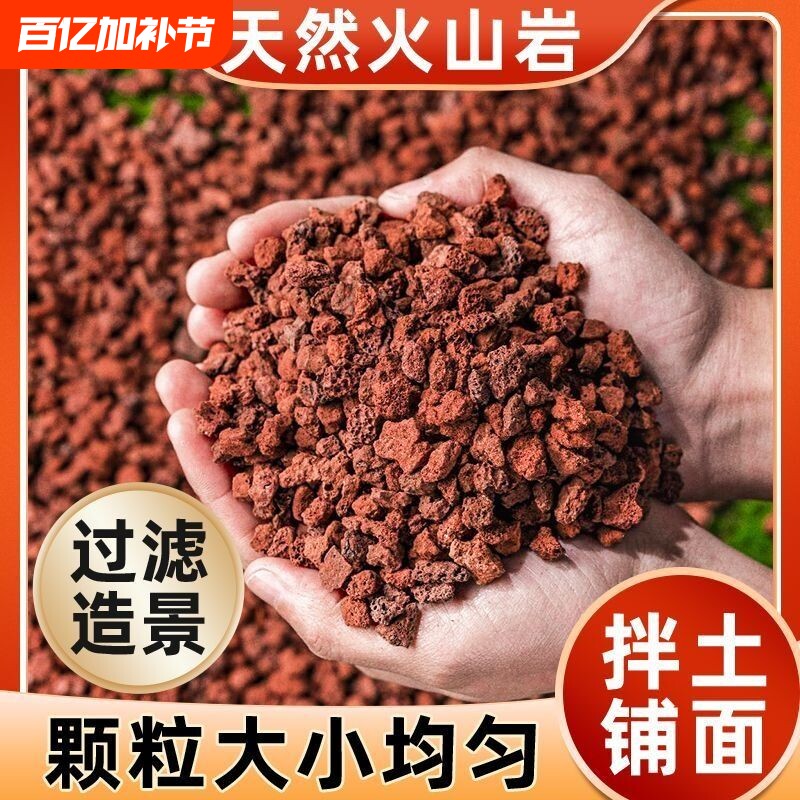 火山石小颗粒养花园艺蝴蝶兰花专用多肉铺面石水培植物鱼缸底砂石