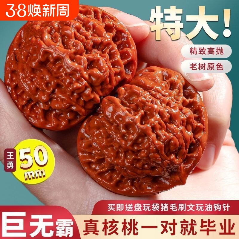 文玩核桃麒麟纹官帽野生核桃50-55盘玩白茬矮桩王勇