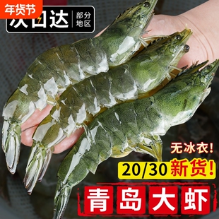 大虾鲜活速冻青岛超特大海虾基围虾冷冻青虾盐冻对虾2030海鲜水产