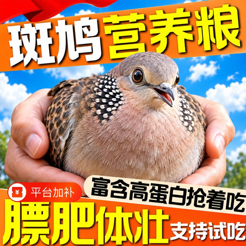 斑鸠专用饲料幼鸟五色黍子谷物鸟粮小颗粒鸽子鹦鹉通用粮高粱稻谷