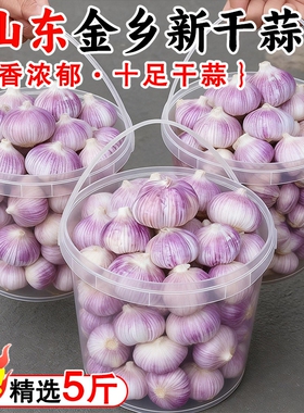 山东金乡大蒜干蒜大蒜头5斤新干蒜精选特大果紫白皮批发新鲜