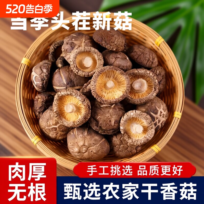 新鲜香菇干货 肉厚菌菇 小香菇 冬菇 蘑菇 香茹 新鲜菇 煲汤 