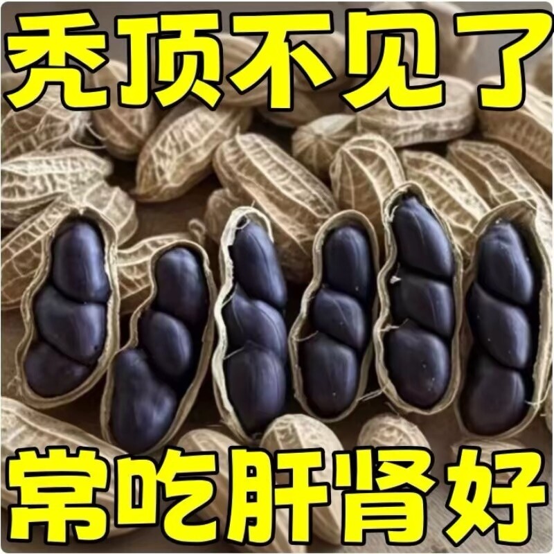 云南黑花生种子富硒黑皮带壳官方旗舰店日晒晒干好吃健康袋装酥脆