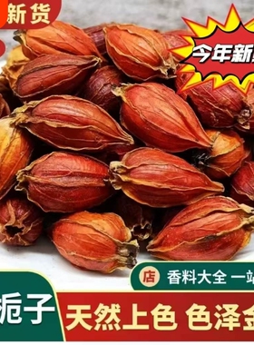 福建新鲜天然黄栀子香料新货上色素枝卤肉泡茶农家干货无硫散装