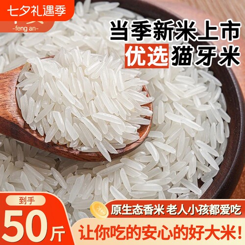 南方大米50斤新米长粒香米