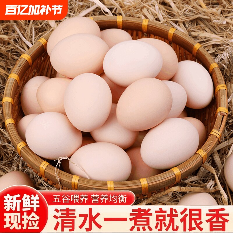 谷饲土鸡蛋新鲜30枚鸡蛋谷物鸡蛋虫草鸡蛋鲜农村新鲜鸡蛋