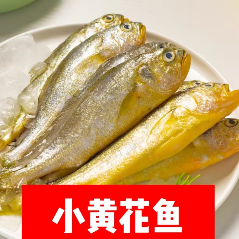 小黄花鱼新鲜海捕鲜活冷冻小黄鱼2斤5斤深海鱼海鲜水产商用批发