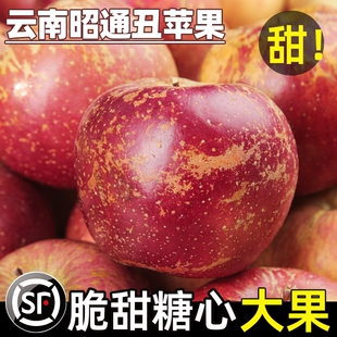 2025云南昭通丑苹果新鲜昭通市冰糖心红富士整箱脆甜年货节好吃