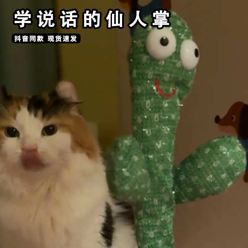 跳舞仙人掌玩具会学说话的婴儿宝宝儿童0到1岁妖娆花复读录音玩偶