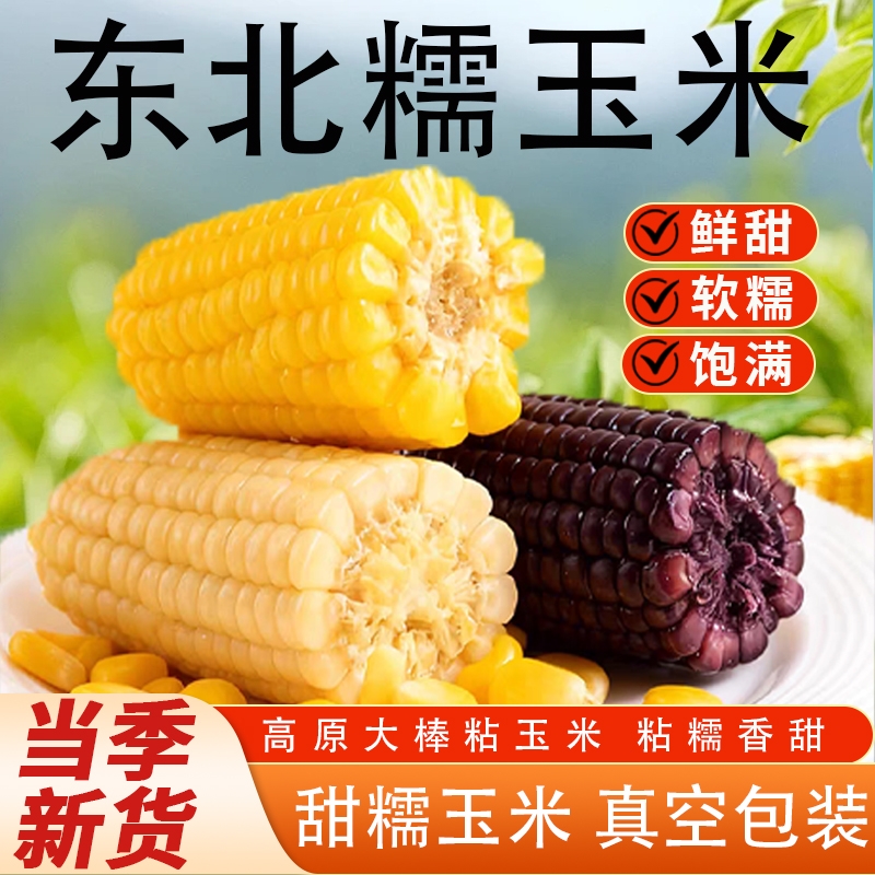 东北新鲜黄糯玉米真空装早餐即食