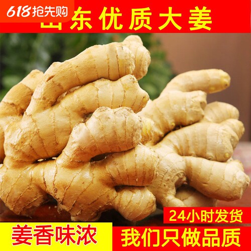 山东大姜优质生姜月子姜风干姜现挖鲜姜新鲜老黄姜食用原产地