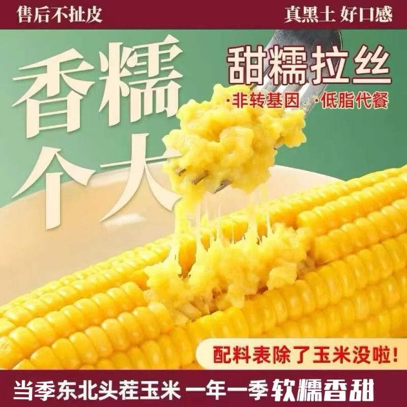 黄糯玉米真空装新鲜黏玉米棒粘苞谷主食低脂饱腹代餐香甜健康软糯