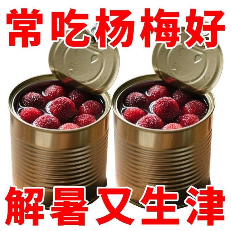 糖水杨梅罐头新鲜当季现摘杨梅鲜果水果罐头零食商用蛋糕烘焙原料