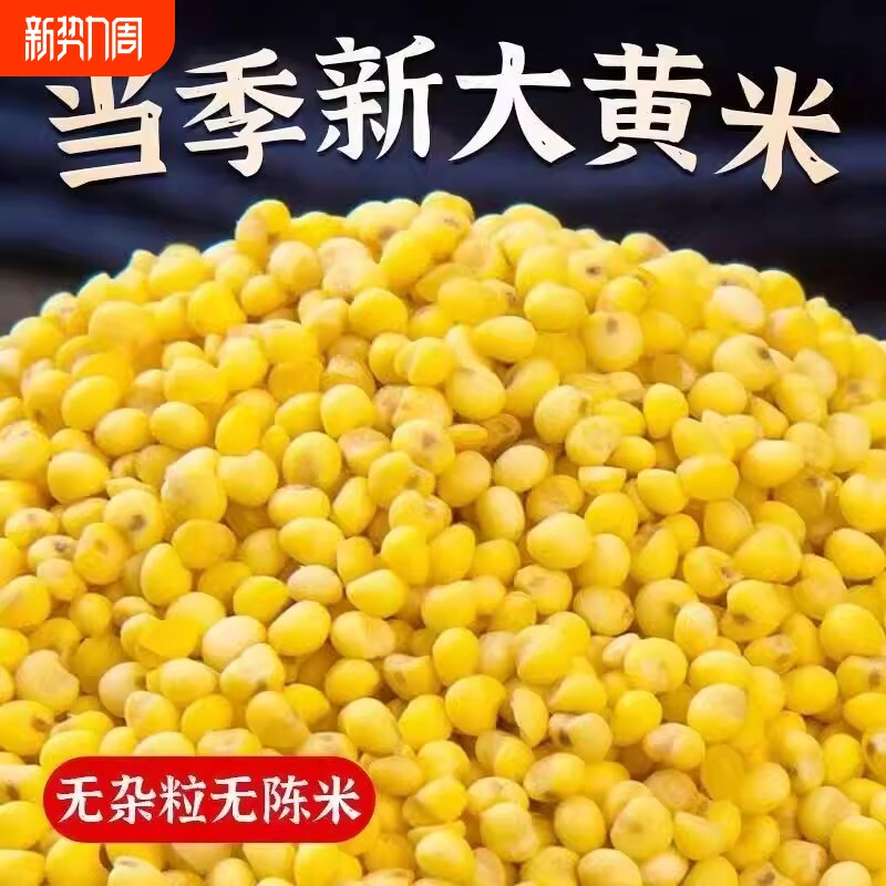 东北大黄米新米正宗糯小米黍米粘米黄米包粽子软米杂粮特产