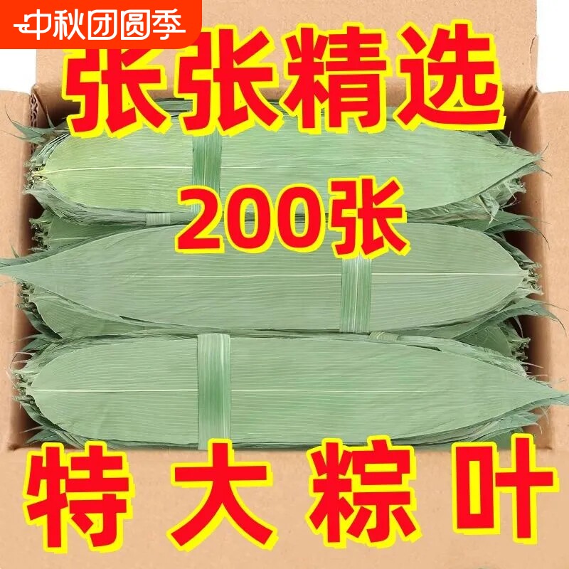 端午节包粽子专用粽叶粽子叶新鲜特大号干棕叶官方旗舰店无硫叶子图片