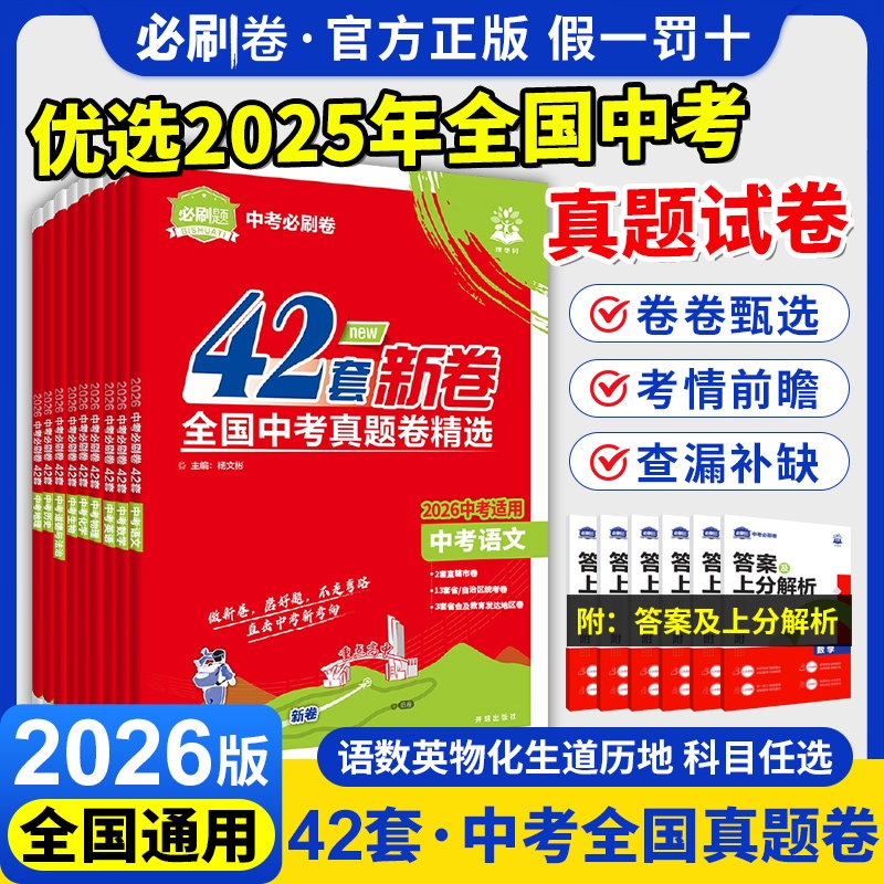 理想树中考必刷卷42套全国版