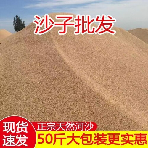 沙子50-100斤工地河沙种植养花沙多肉装修建筑沙子底沙天然河沙