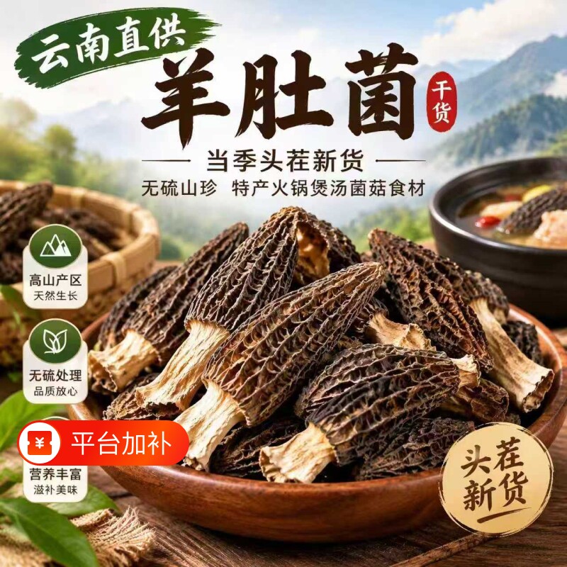 云南羊肚菌干货26年头茬新货煲汤非特级野生煲汤类菌菇食材批发
