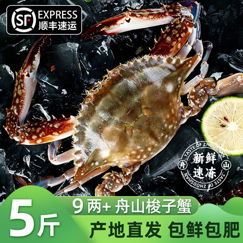 舟山梭子蟹新鲜冷冻特大螃蟹飞蟹