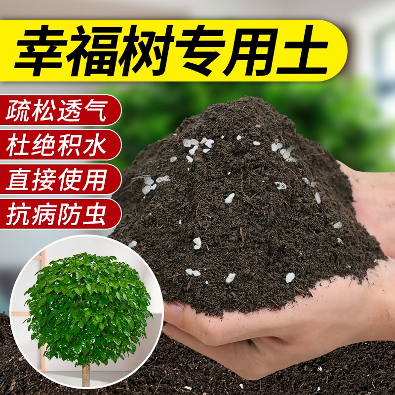 幸福树专用营养土|超1000次加购