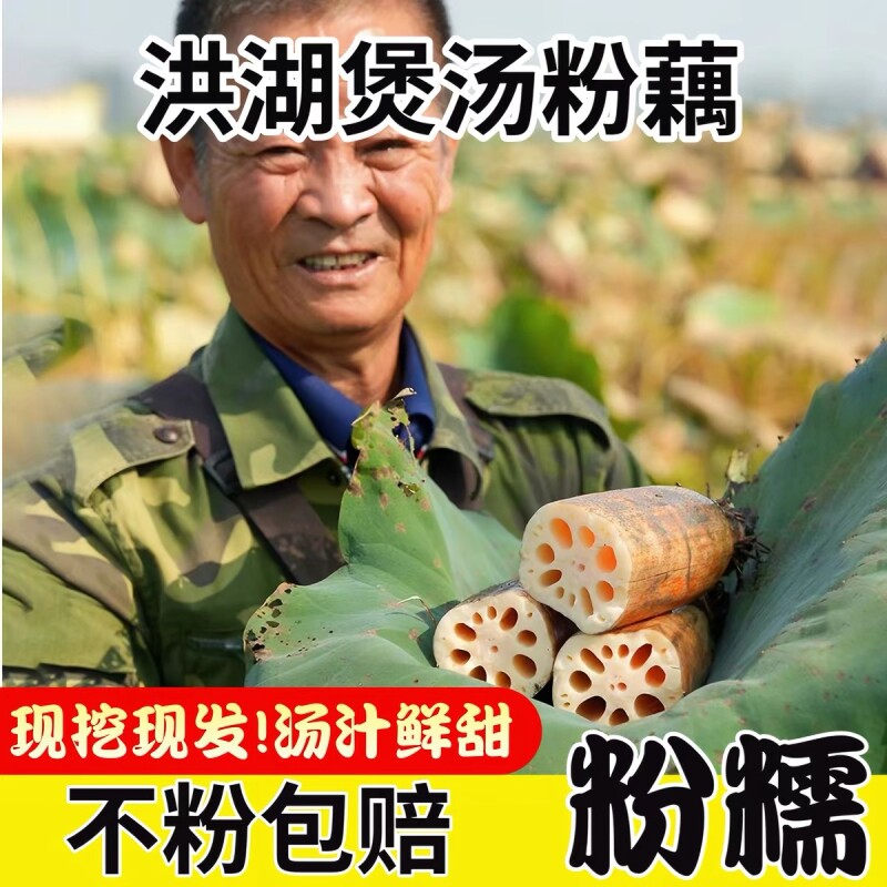 正宗湖北洪湖莲藕新鲜粉藕九孔藕图片