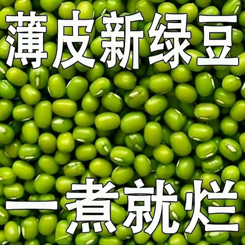 2025新货绿豆小绿豆5斤农家自产发新鲜豆芽夏天绿豆汤材料绿豆粥