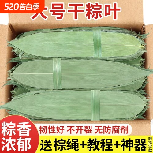 端午鲜叶干棕叶包粽子专用特大号