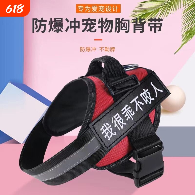 狗狗牵引绳可调节胸背带金毛拉布拉多泰迪狗绳子小中大型犬狗链子