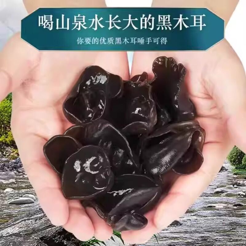 黑木耳干货500g特产级非野生新货肉厚无根凉拌长白山精选年货节