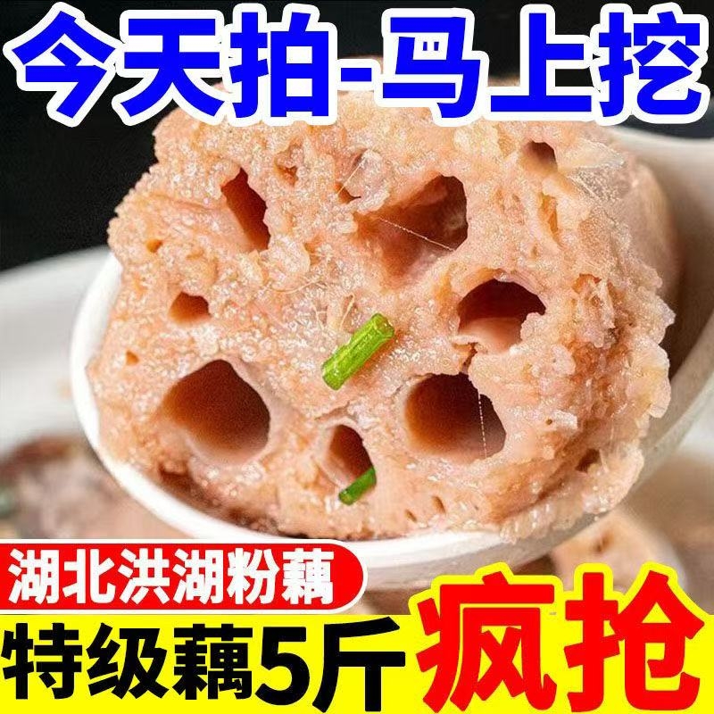 湖北粉藕新鲜莲藕洪湖藕九孔糯米藕煲汤粉藕现挖现发莲藕